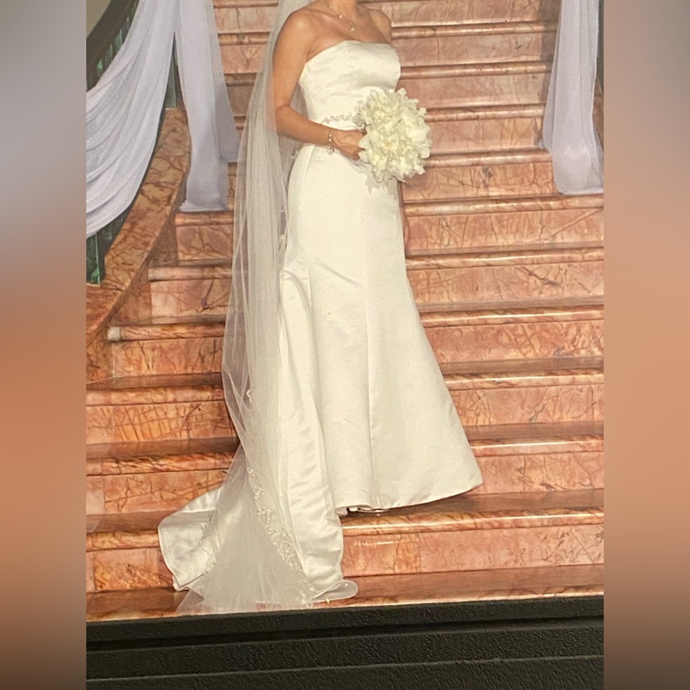 Elegant, but simple wedding dress, dry cleaned and preserved in box.